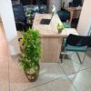 Bureau de direction